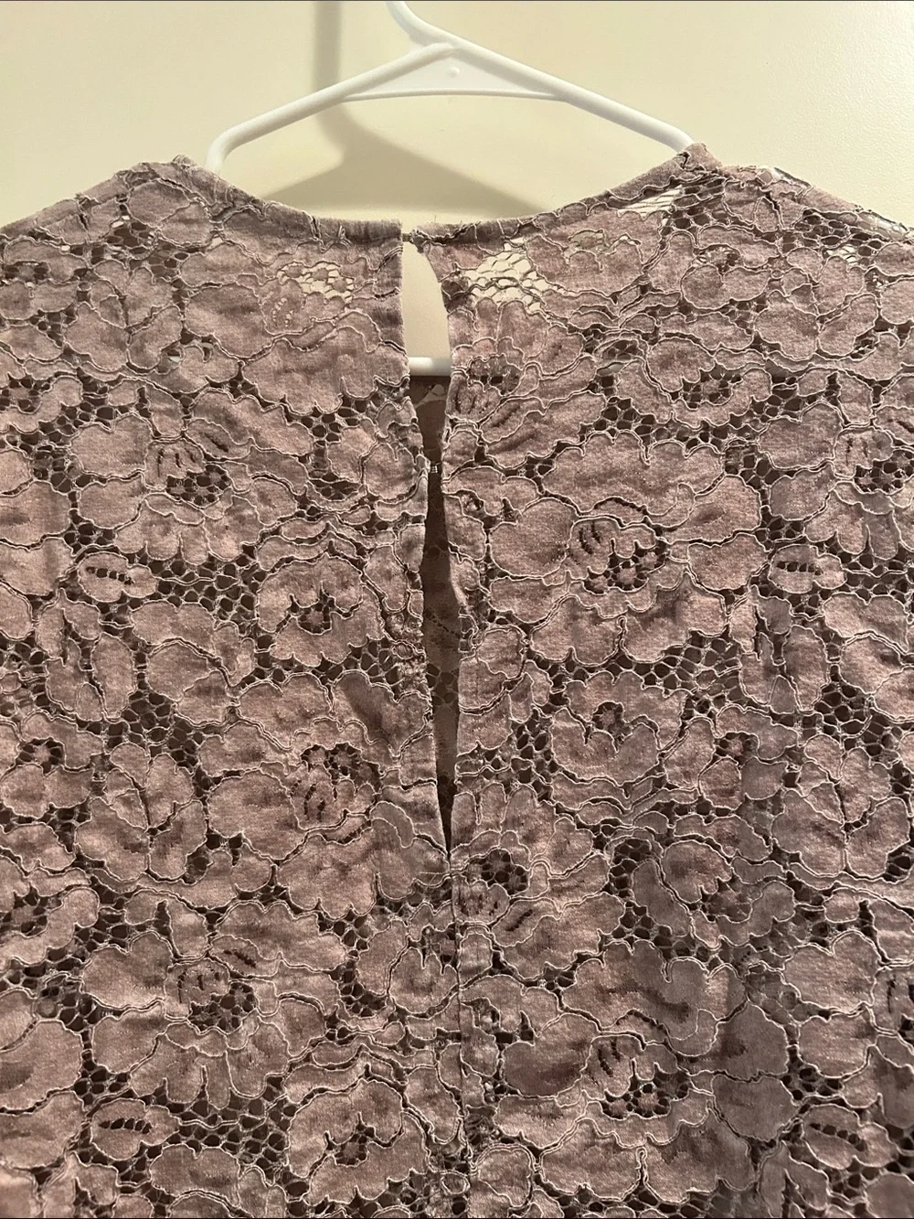 Zara GORGEOUS SEXY Lace peekaboo LongSleeve Blouse scallop hem size M beige